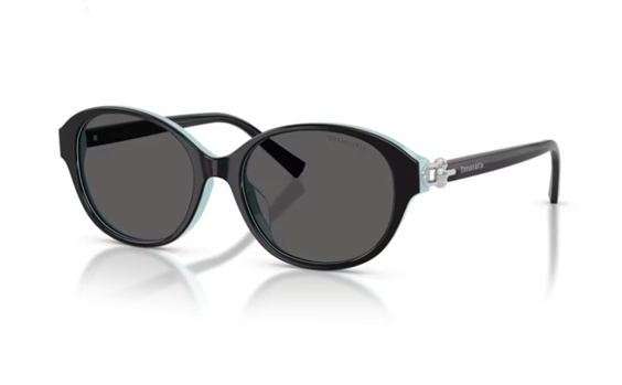 Gafas de sol Tiffany Mujer 0TF4263D 54  8055S4 - 0TF4263D 54  8055S4